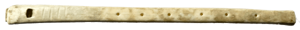 Flauta de buitre Neonymus